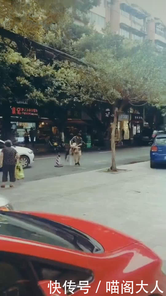 男子听到狗惨叫声,看到这幕后笑喷,男子:既然是二哈,肯定没事 九州体育娱乐