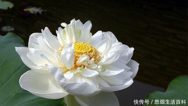 t01f4407c1be036da09.jpg?size=600x340