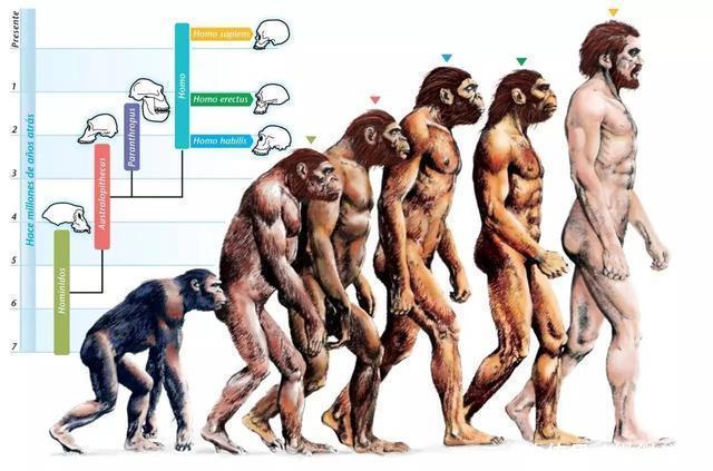 科学界最尖端的125个谜团, 诺贝尔奖在等待它们