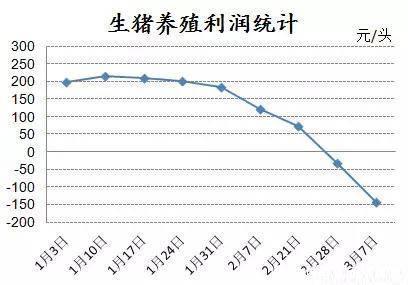 产能较低母猪淘汰加速! 猪价低谷提前到来