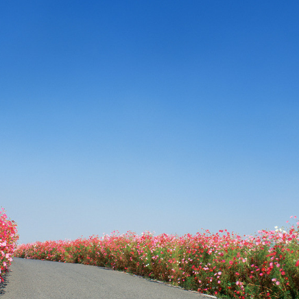 冯提莫这首翻唱《年轮》比原唱好听多了!