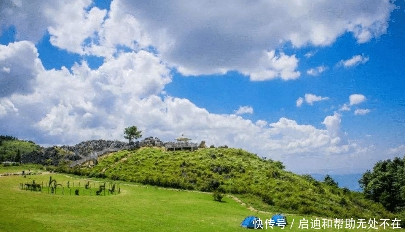 俗语:“喂狗别喂饱”,下半句是至理名言,老实人一定要看! E世博体育官网