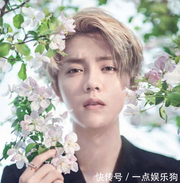 2018人气指数最高男明星,陈学冬第四,李易峰第