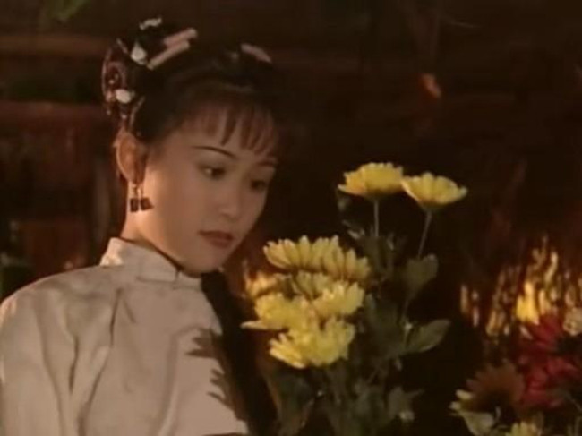 韦小宝的七个老婆中，其中两位从没有爱过韦小宝，你知道是谁吗？