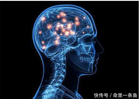科学家发现, 人类是唯一能进入11纬空间的物体