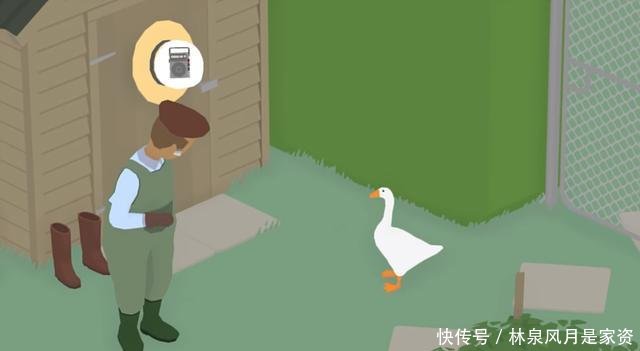 彪悍的鹅生不需要解释,任天堂直面会的白鹅怎