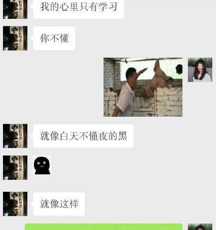 奇葩聊天记录，妈妈：我跟你弟弟私奔去了···