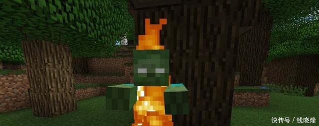 《我的世界》MC关于小僵尸的冷知识,不知道的