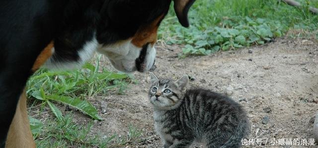 从乐清女孩遇害案谈谈滴滴不作为的恶