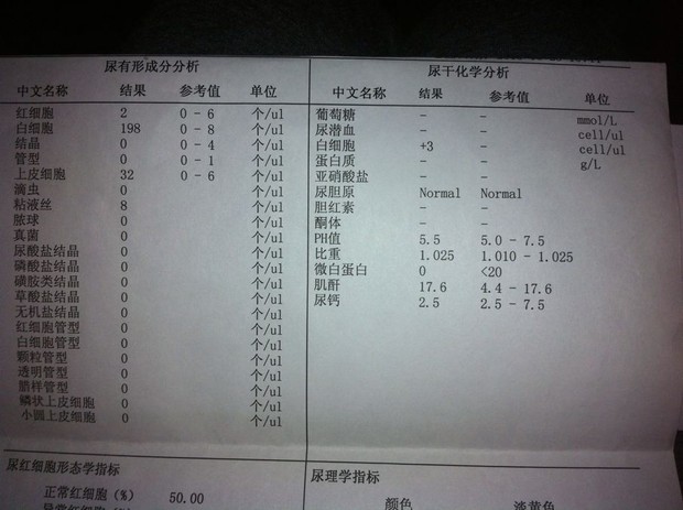 前列腺炎,支原体衣原体阳性,精液不液化,高分求解啊!