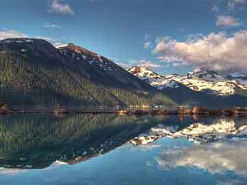 山石魚缸造景