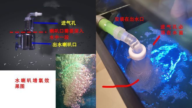 南寧市玉海水族店（南寧市玉海水族店電話號(hào)碼）