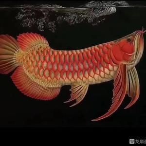 老魚匠魚缸系列介紹（老魚匠官方app） 老魚匠