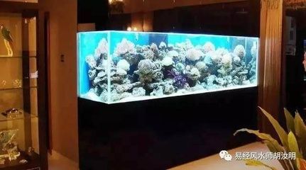 懷來(lái)縣沙城立之博水族館