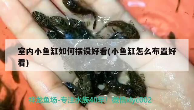 防腐木做魚缸底柜（防腐木做魚缸底柜好嗎）