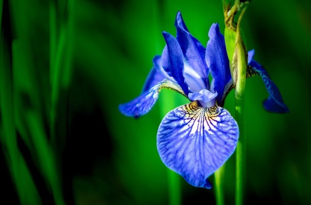 昆明市五華區(qū)萌藝水族器材店（昆明市五華區(qū)萌藝水族器材店地址）