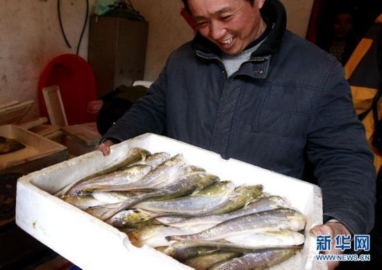 防城港觀賞魚批發(fā)市場（防城港觀賞魚批發(fā)市場地址） 觀賞魚批發(fā)