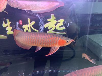 夏津县七彩水族馆：