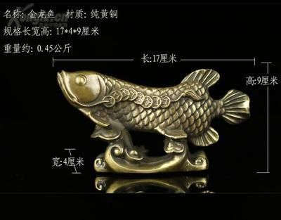 恐龍魚飼養(yǎng)溫度（六角恐龍魚飼養(yǎng)溫度）