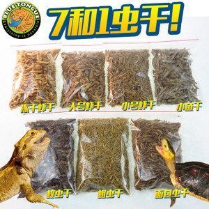 上海大型魚缸批發(fā)市場（上海大型魚缸批發(fā)市場地址）