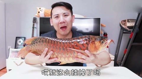 家里魚缸養(yǎng)什么水草（家里魚缸養(yǎng)什么水草好）