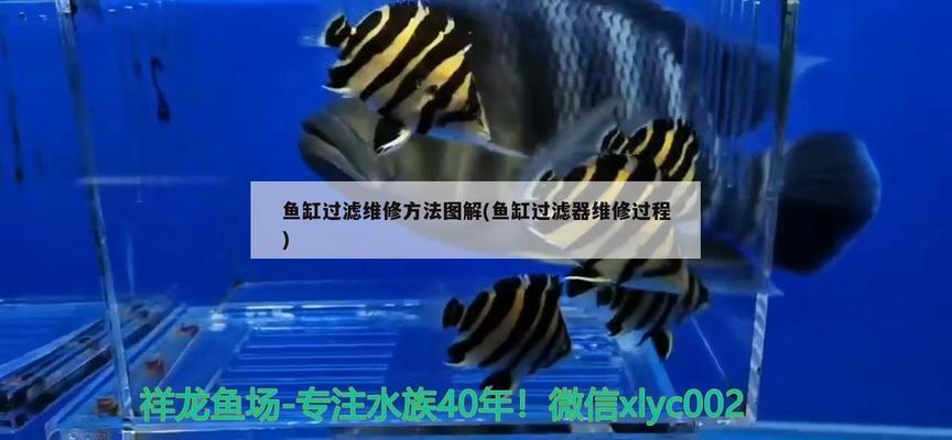 老魚(yú)匠加熱棒怎么調(diào)溫（老魚(yú)匠加熱棒怎么調(diào)溫度視頻） 老魚(yú)匠