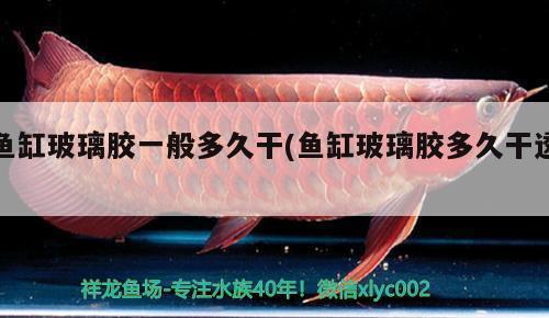 達(dá)州魚缸售后維護(hù)中心地址（達(dá)州魚缸售后維護(hù)中心地址電話）