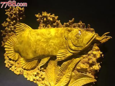 什么牌子魚缸水泵好（什么牌子魚缸水泵好用）