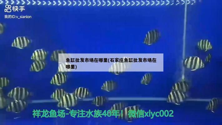 陽谷縣博濟(jì)橋辦事處振興路可麗愛水族館：