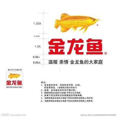 魚好還得燈給力 魚缸凈水劑