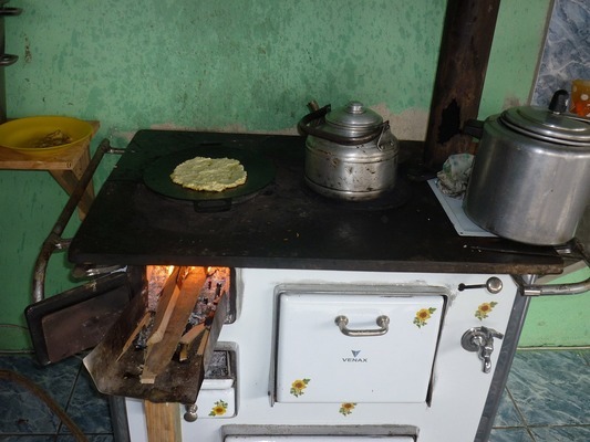 薩伊藍(lán)魚食（薩伊藍(lán)魚食量大嗎）