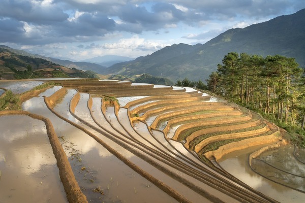 魚缸養(yǎng)黑色的魚可以嗎（魚缸養(yǎng)黑色的魚可以嗎視頻）