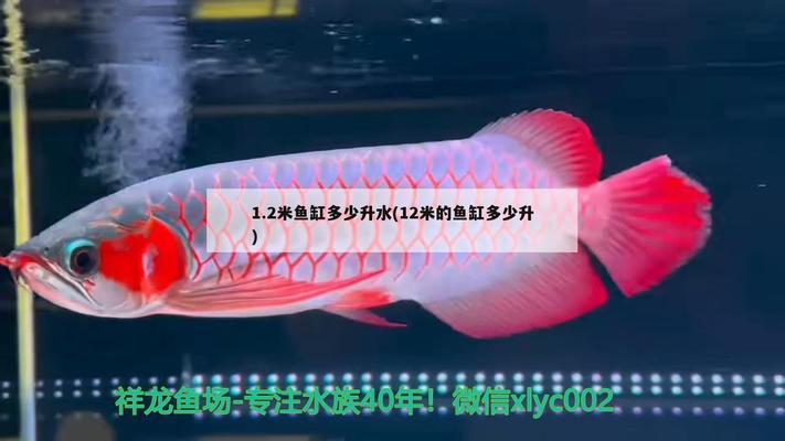 咸陽哪有定做魚缸的店（咸陽哪有定做魚缸的店鋪） 其他品牌魚缸