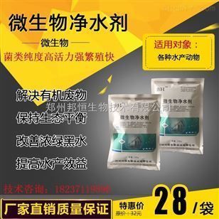 龍魚一邊掉眼怎么辦（龍魚一邊掉眼怎么辦圖片） 龍魚疾病與治療