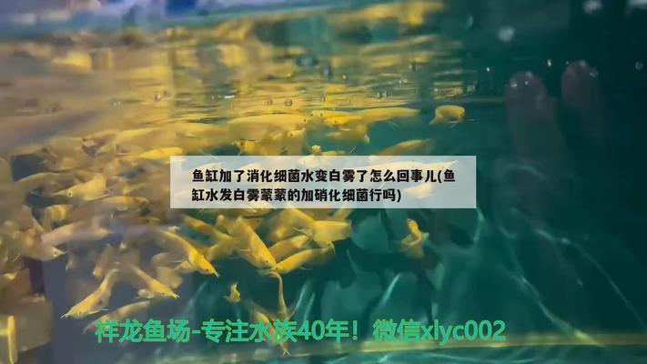 昆山二手魚缸出售電話地址（昆山二手魚缸出售電話地址查詢）