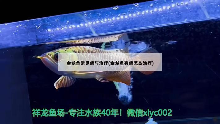 佛山市三水區(qū)西南街寓意水族店（佛山市三水區(qū)西南街寓意水族店地址）