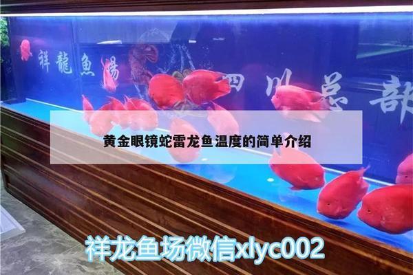 金龍魚品牌排行榜前十名圖片（金龍魚品牌排行榜前十名圖片大全）