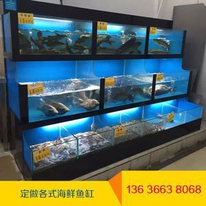 300升水的魚缸養(yǎng)多少魚合適（300升水的魚缸養(yǎng)多少魚合適呢）