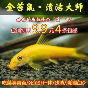 长安程澄水族用品店