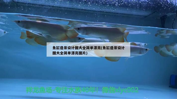 觀賞魚養(yǎng)殖專用鹽有什么用（觀賞魚養(yǎng)殖專用鹽有什么用處）