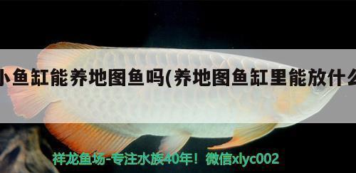 魚缸多久漏水一次（魚缸多久漏水一次比較好）