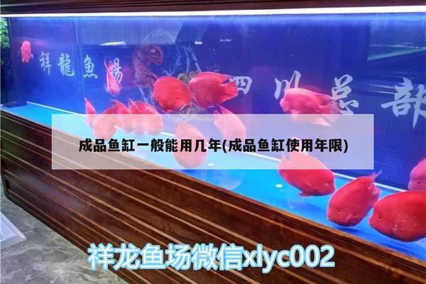 揚州魚缸品牌排行榜前十位有哪些產(chǎn)品（揚州魚缸品牌排行榜前十位有哪些產(chǎn)品呢）