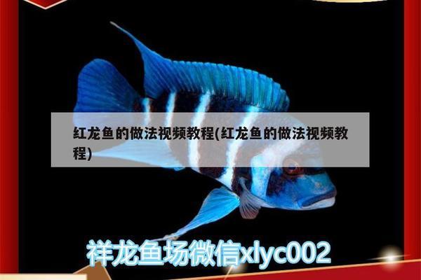 太原魚缸廠家聯(lián)系電話多少號(hào)碼（太原魚缸批發(fā)）