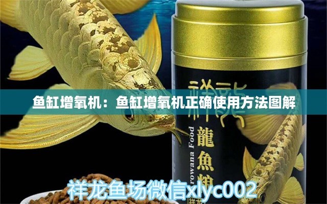 拉薩彩鰈魚缸售后維護