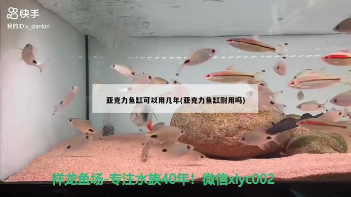 neo魚缸廠家電話（neo魚缸官網(wǎng)） 祥龍水族醫(yī)院