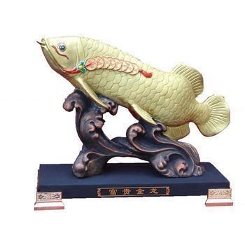 安慶金龍魚(yú)代理地址或電話查詢（安慶金龍魚(yú)代理地址或電話查詢號(hào)碼）