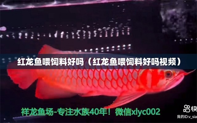 河源市源城區(qū)俊標水族館（河源市源城區(qū)俊標水族館地址）