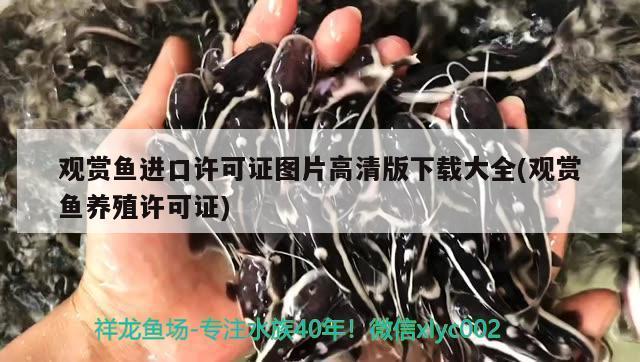 一米長(zhǎng)的魚缸要用多厚的玻璃膠（一米長(zhǎng)的魚缸要用多厚的玻璃膠水）