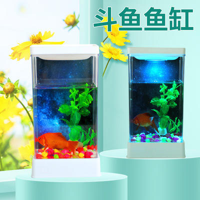 濟(jì)南市天橋區(qū)輝煌水族店（濟(jì)南輝煌商貿(mào)有限公司）