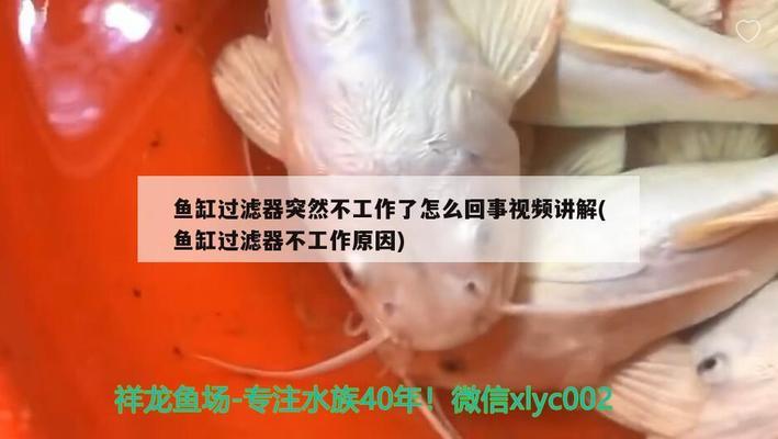 创宁变频水泵有假的吗怎么辨别（创宁变频水泵有假的吗怎么辨别真假）